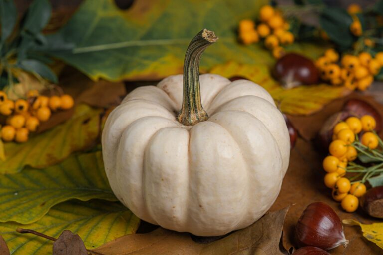 Pizza au potimarron et aux châtaignes : la recette d&rsquo;automne